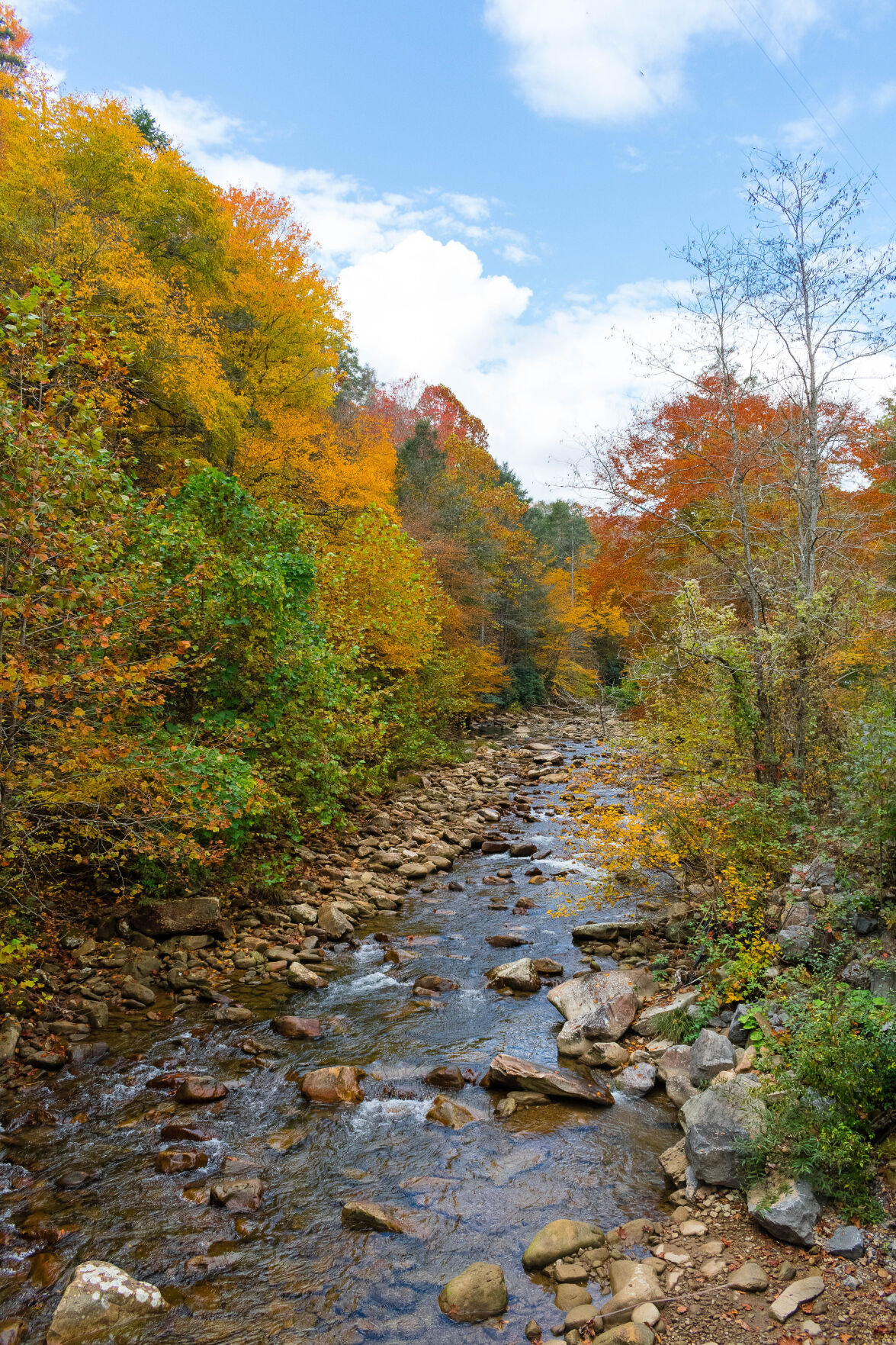 Small stony stream 2